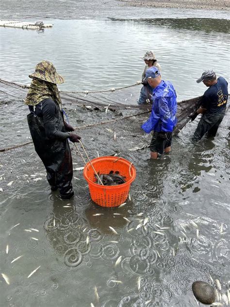 魚 數量|全球漁業水產養殖概況 FAO指出：魚類人均消費量創新高紀錄